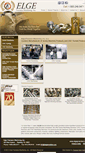 Mobile Screenshot of elgeprecision.com